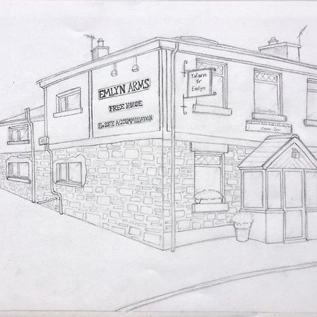 Emlyn Arms Bed & Breakfast Llanarthney Exterior foto