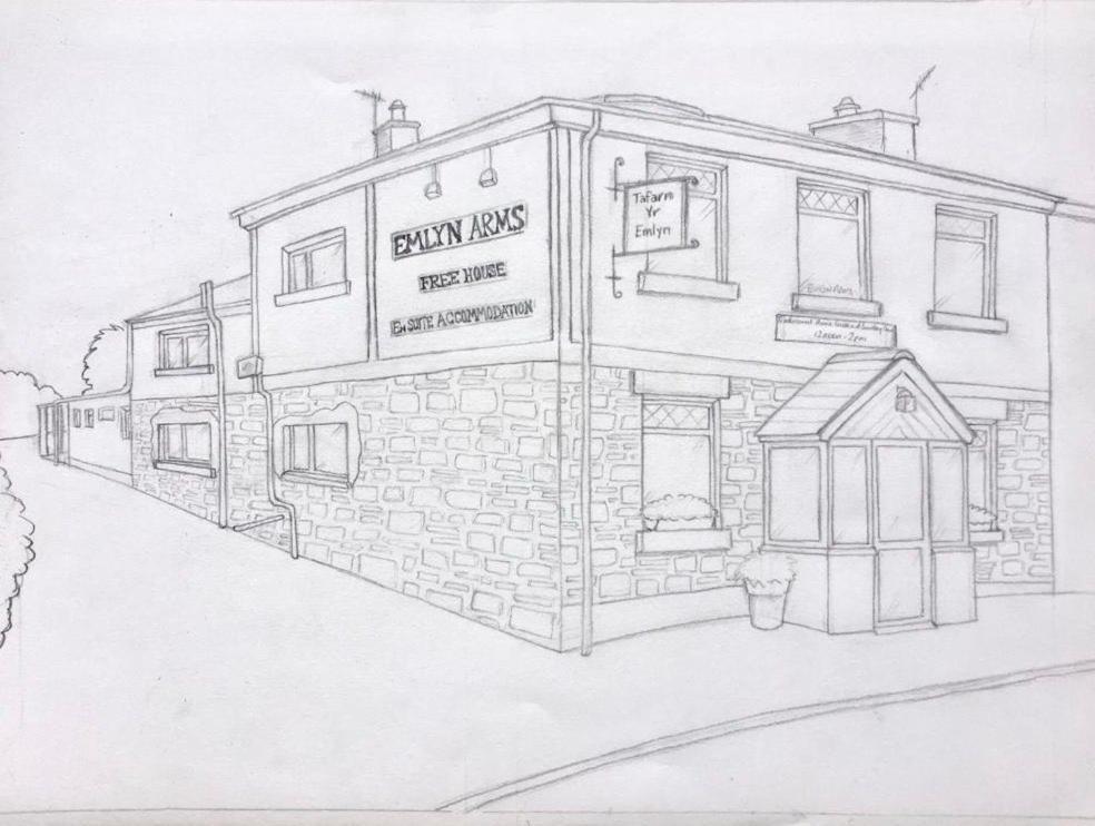 Emlyn Arms Bed & Breakfast Llanarthney Exterior foto