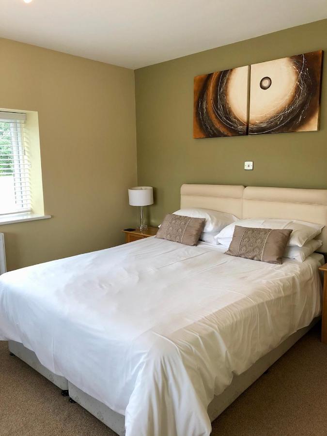 Emlyn Arms Bed & Breakfast Llanarthney Exterior foto