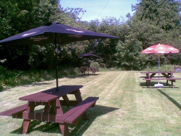 Emlyn Arms Bed & Breakfast Llanarthney Exterior foto