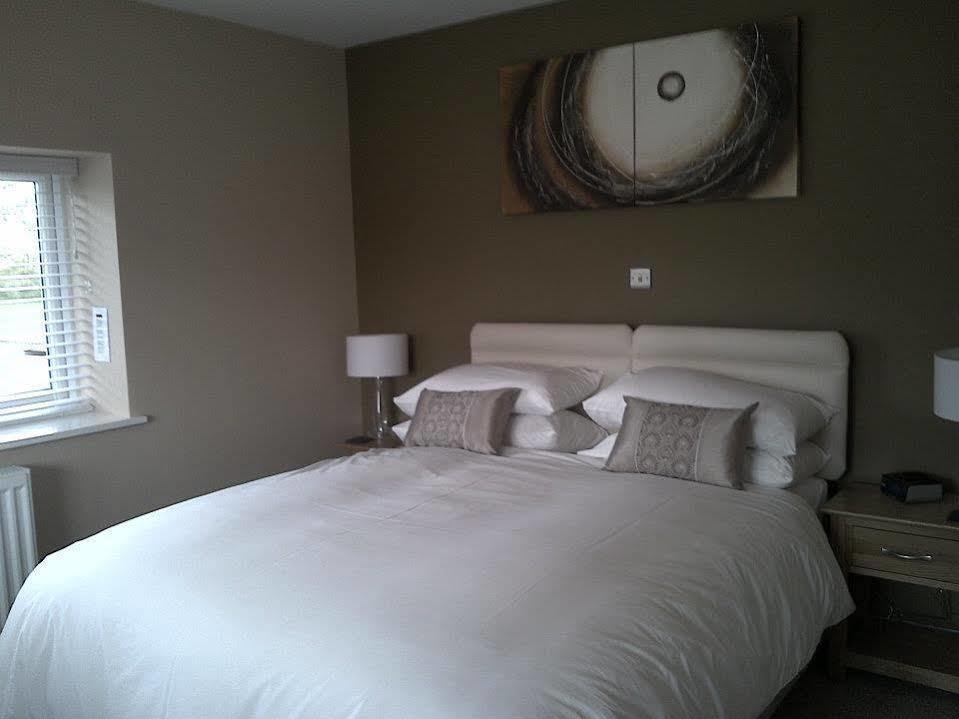 Emlyn Arms Bed & Breakfast Llanarthney Exterior foto