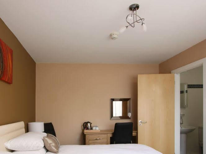 Emlyn Arms Bed & Breakfast Llanarthney Exterior foto